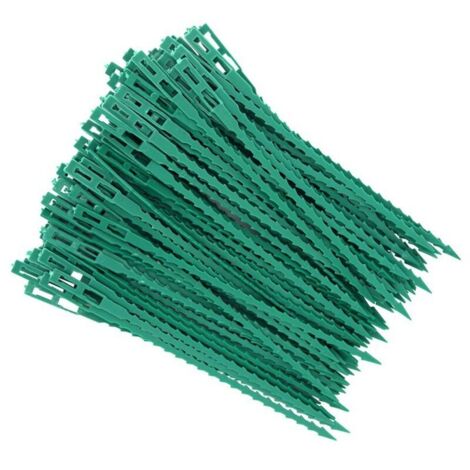Lot de 100 tuteurs pour plants de tomates, attaches réglables et colliers de serrage en plastique pour le jardinage amateur.