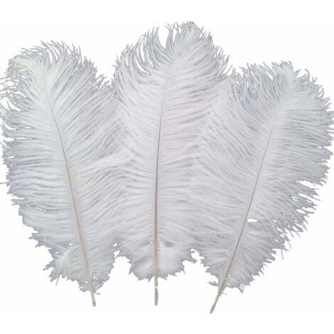 Lot de 10 plumes d’autruche pour décoration d'intérieur, mariage 30 à 35 cm
