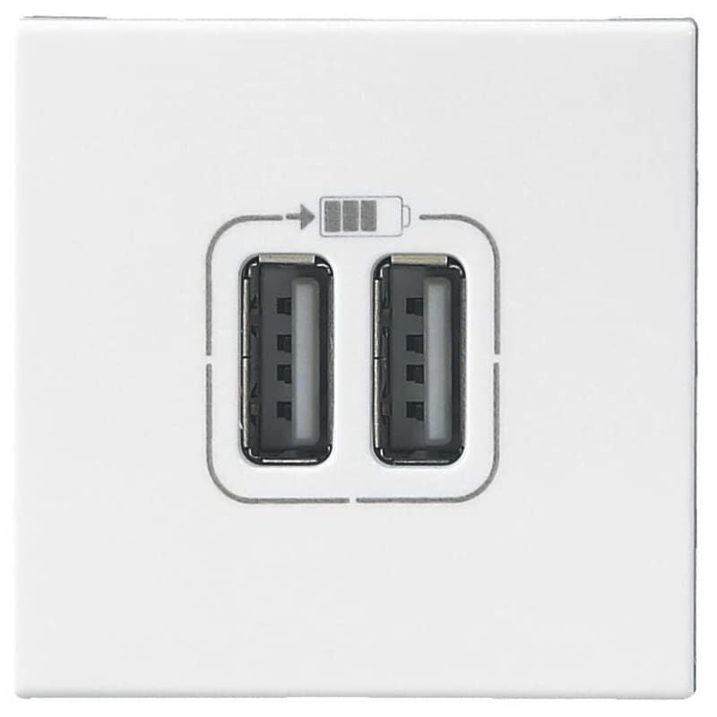 Double chargeur usb Type-A 3A 15W 2 modules complet Mosaic - Blanc - Blanc
