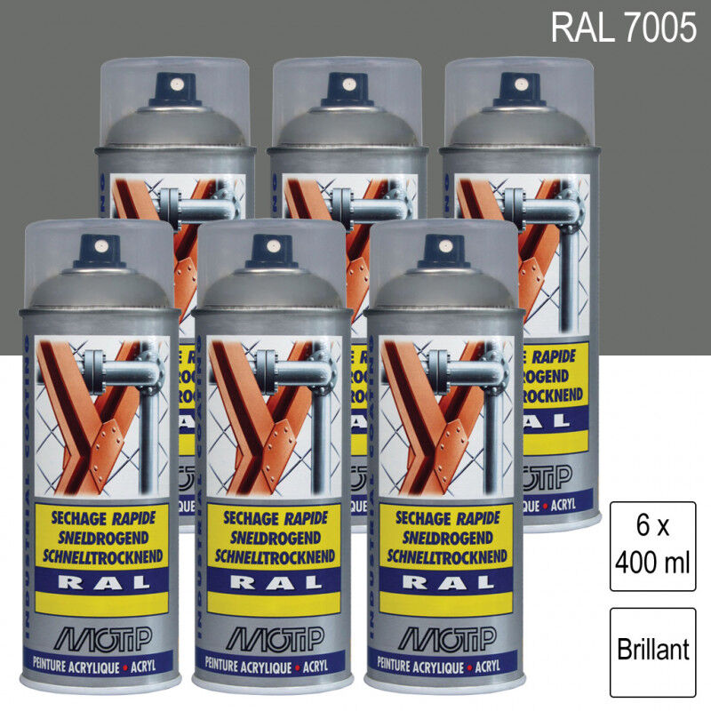 Lot de 6 Peintures aérosol ral 7005 Gris souris brillant 400ml Motip