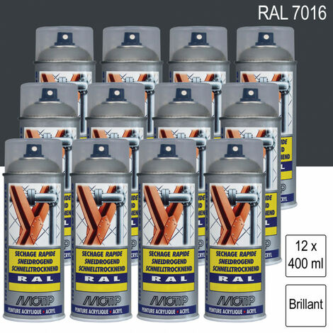 Lot de 12 Aérosols de peinture RAL MOTIP - plusieurs modèles disponibles