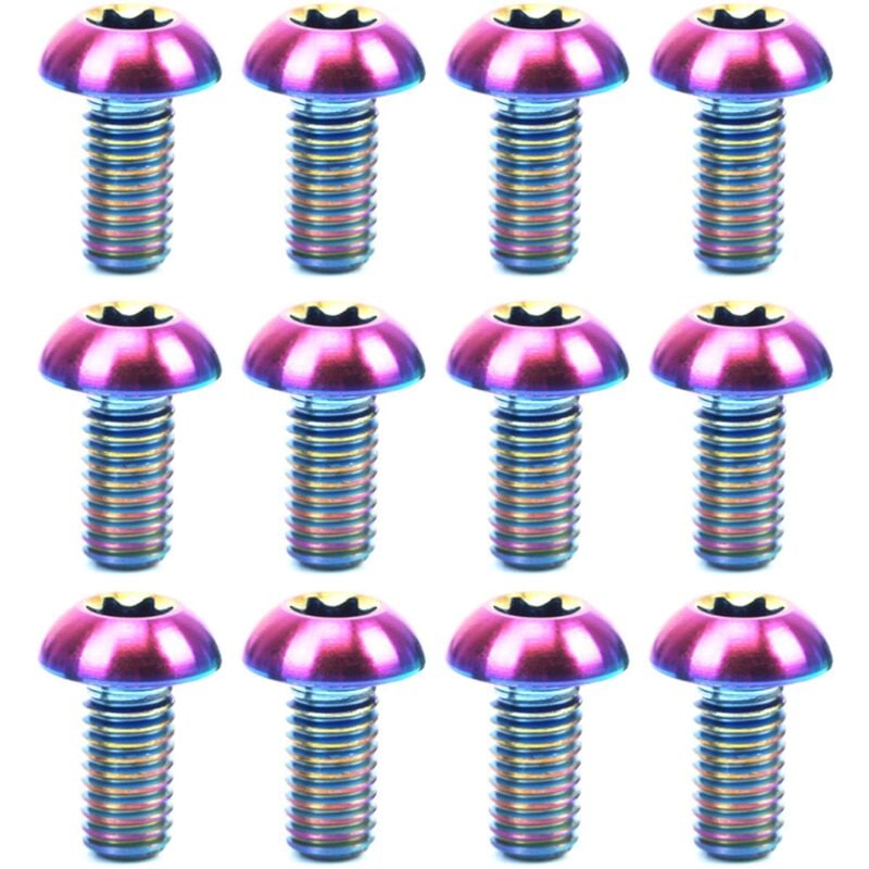 Fei Yu - Lot de 12 boulons de rotor de frein à disque M5 x 10 mm T25 Torx en titane Ti pour porte-bouteille de vélo vtt