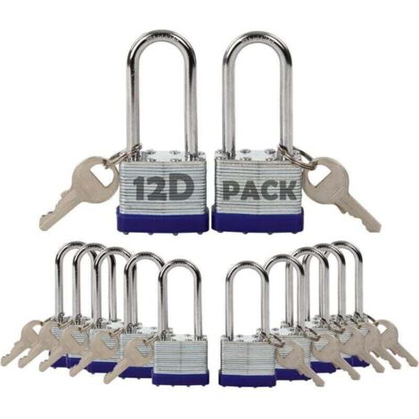 Lot de 12 Cadenas à Clé Identique Acier Laminé Antirouille 40mm pour Casier Clôture Portail