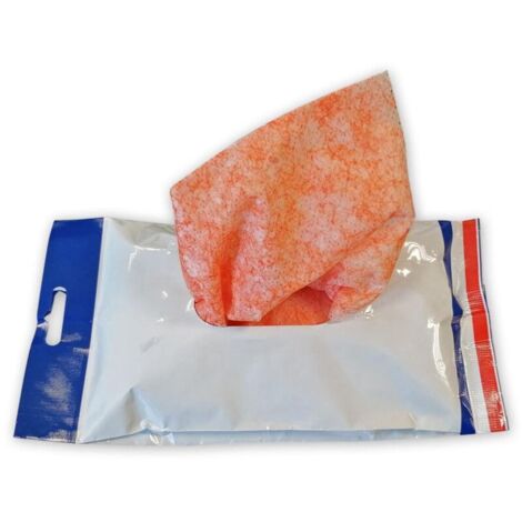 Lot de 12 lingettes nettoyantes pour les mains roxy hand cleaner