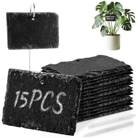 Lot de 15 étiquettes pour plantes en ardoise à écrire - Pour l'extérieur Avec stylo craie herbes, fleurs, légumes 10 x 7 cm
