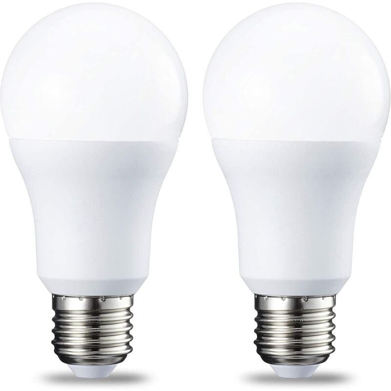 Lot de 2 ampoules E27 12W, 5000K (blanc positif) led à culot à vis Intensité non variable