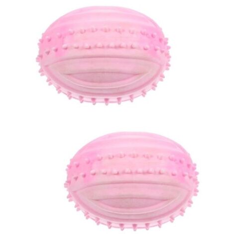 Lot de 2 balles en caoutchouc pour chien, petits jouets pour chien, balle couinante pour chiot, jouet pour bébé, jouets pour chi