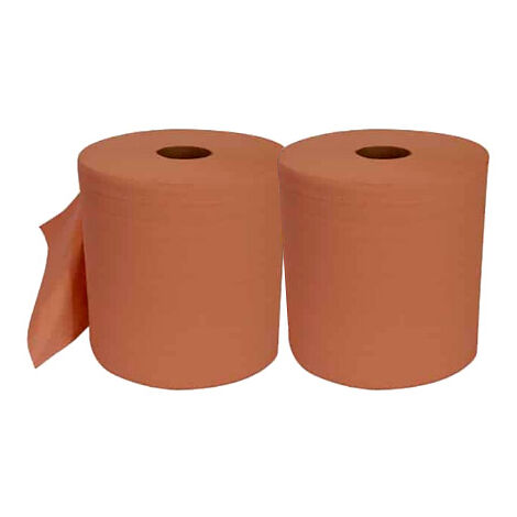 Lot de 2 Bobine d'essuyage chamois recyclé 1000 feuilles 22x30