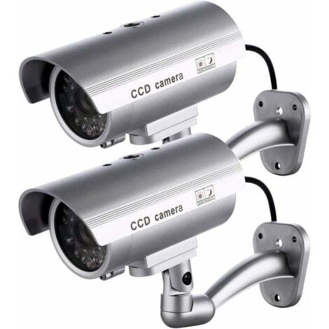 Lot de 2 caméras factices pour intérieur ou extérieur, en forme de sphère et LED clignotante RTGPT (argent)