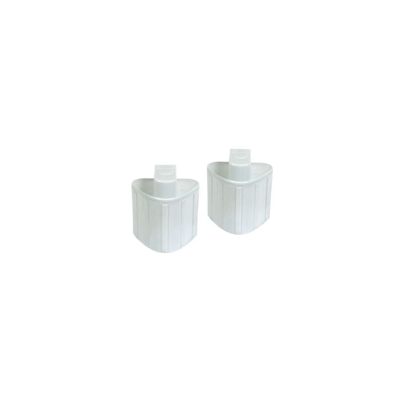 Lot de 2 cartouches anti-calcaire pour centrales vapeur Powersteam Rowenta - Liberty Calor
