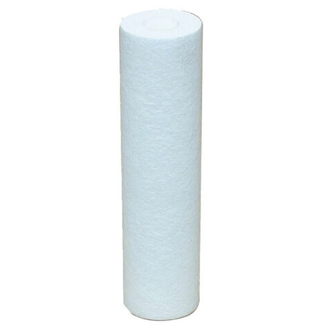 Lot de 2 cartouches jetables filtres 5 µm anti boue et particule POLAR CJFI5X2