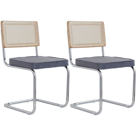 Lot de 2 chaises salle à manger vintage rotin plastique chaise bureau maison chambre dossier assise rembourrée velours grain nacre