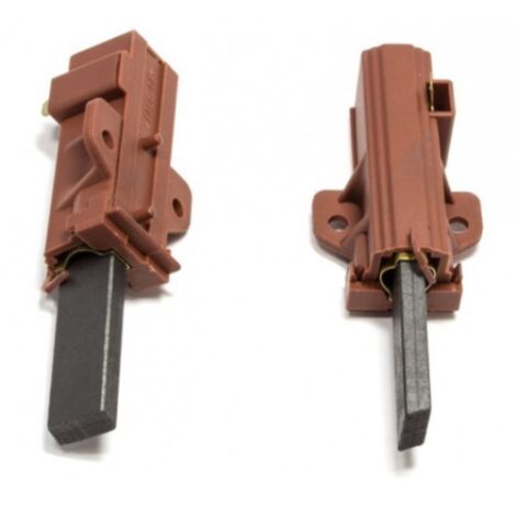 Lot de 2 charbons moteur