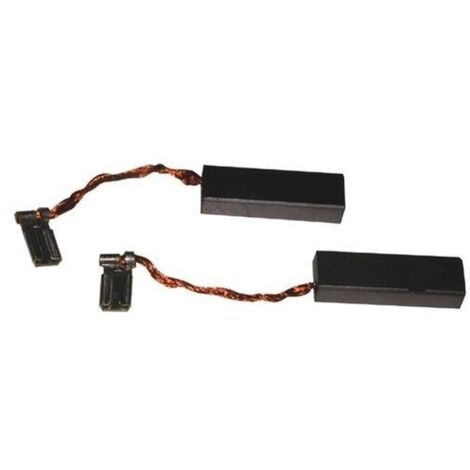Lot de 2 Charbons moteur pour Robot multifonction KENWOOD KW660018