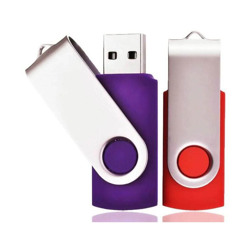 Lot de 2 Clé USB 32 Go USB 2.0 Mémoire Flash Drive Clef USB Pivotantes avec Cordes Bon Cadeau pour Enfant Parents et Amis (32G, Rouge/Violet),AAFGVC