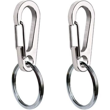 Lot de 2 clips pour médailles d'identification pour chien/chat, en acier inoxydable robuste, à fixation rapide. Porte-médailles pour collier et harnais.