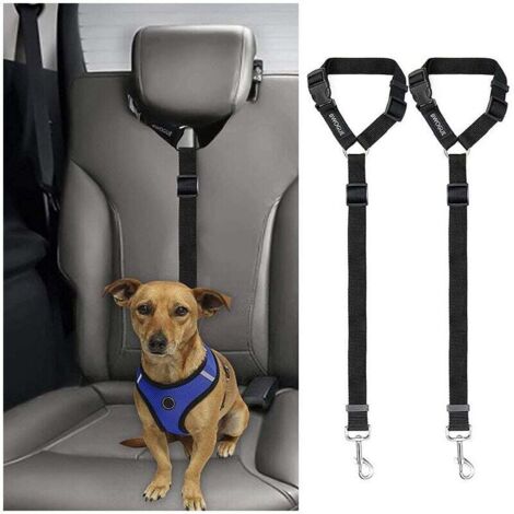 Lot de 2 cordes de remorquage pour voiture pour animaux de compagnie avec sangles de sécurité réglables