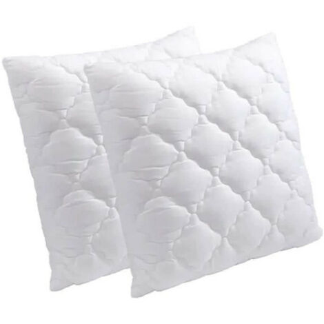 Lot de 2 Coussins Mémoire de Forme Jean Louis Scherrer (60x60 cm)