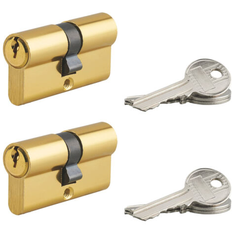 Lot de 2 cylindres de serrure double entrée Ecopro, 30x30mm, aluminium, anti-arrachement, 3 clés, laiton - SP