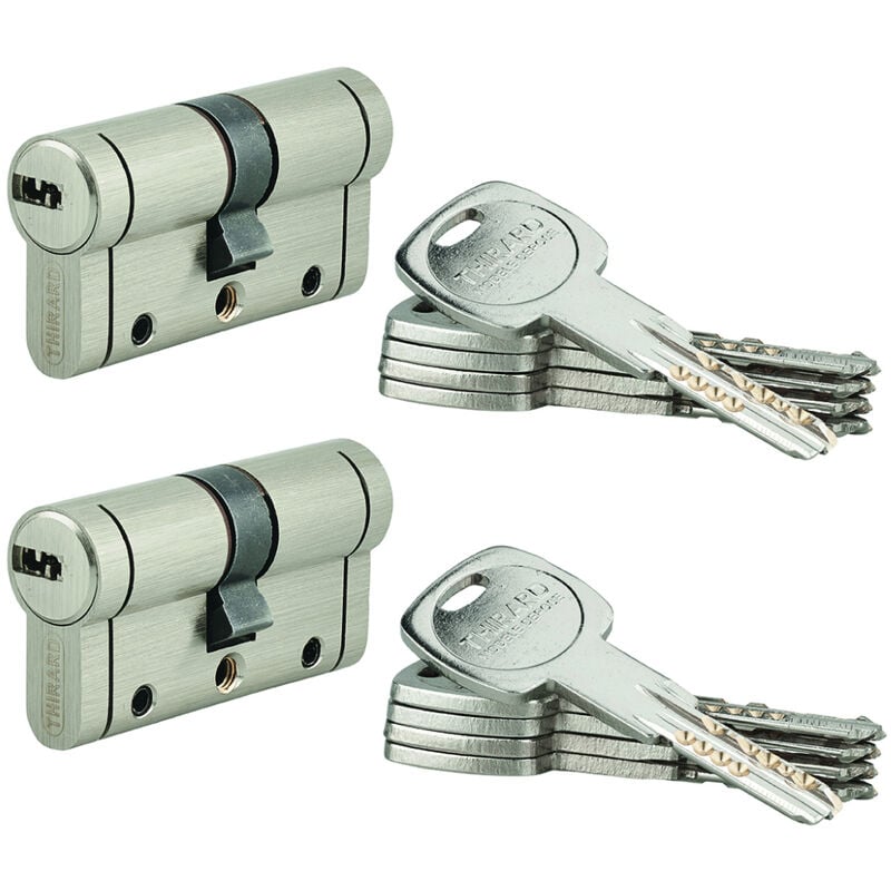 Lot de 2 cylindres Trafic 12, 30x30mm, nickel, anti-arrachement, anti-perçage, anti-casse, 10 clés