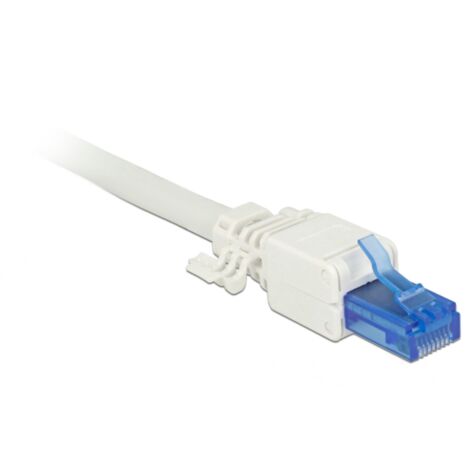 [Lot de 2] - DELOCK - Connecteur RJ45 - Cat.6A UTP - Montage sans outil - Idéal installation réseau - Voir photos