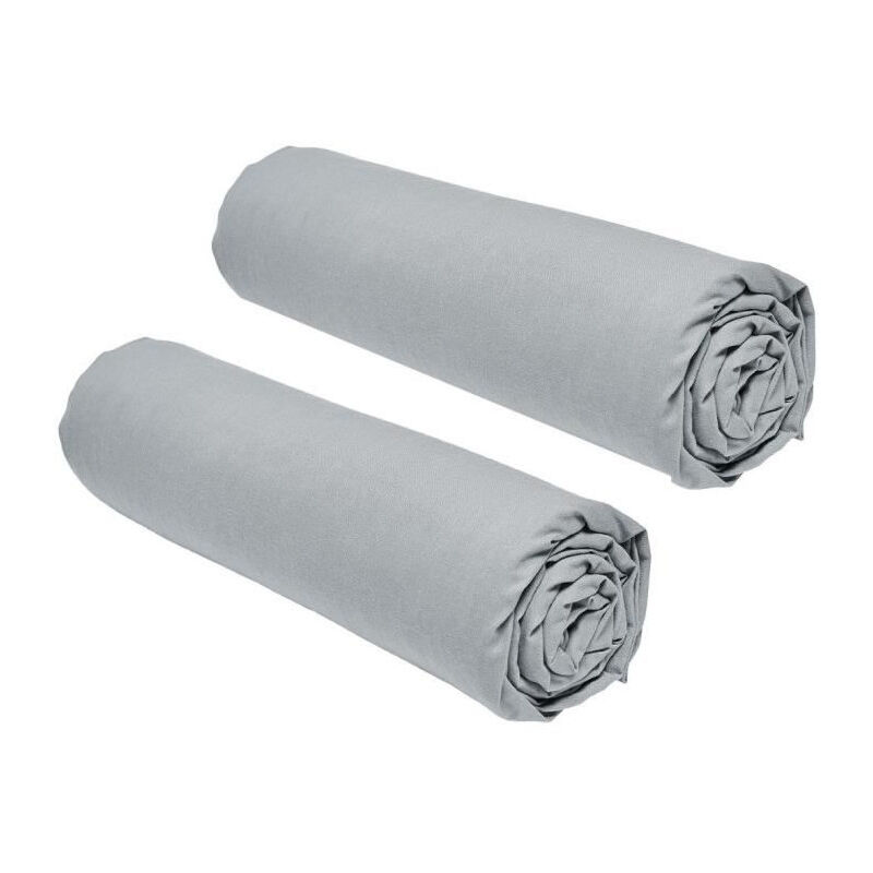 Lot de 2 draps housses Today Essential - 160 x 200 cm - 2 personnse 100% Coton - Acier