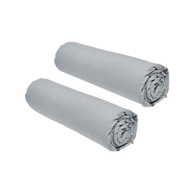 Lot de 2 draps housses Today Essential - 90 x 190 cm - 1 personne - 100% Coton - Acier