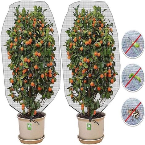 Lot de 2 filets de protection blancs pour plantes (100 x 150 cm) - Protection contre les oiseaux et les insectes pour les légumes et les fruits