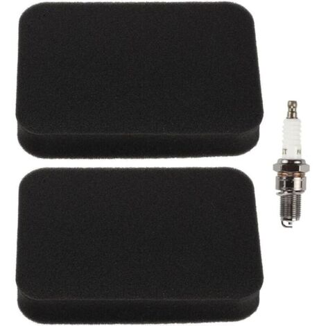 Lot de 2 filtres à air 17211-899-000 pour moteur Honda GX240 GX270 GX340 GX390