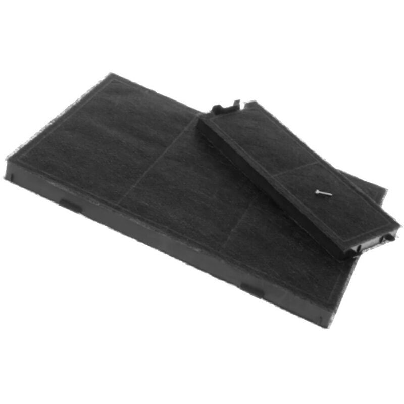 Lot de 2 filtres à charbon