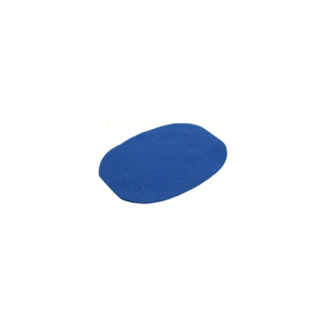 Lot de 2 filtres pour Aspirateur 11693700 NILFISK
