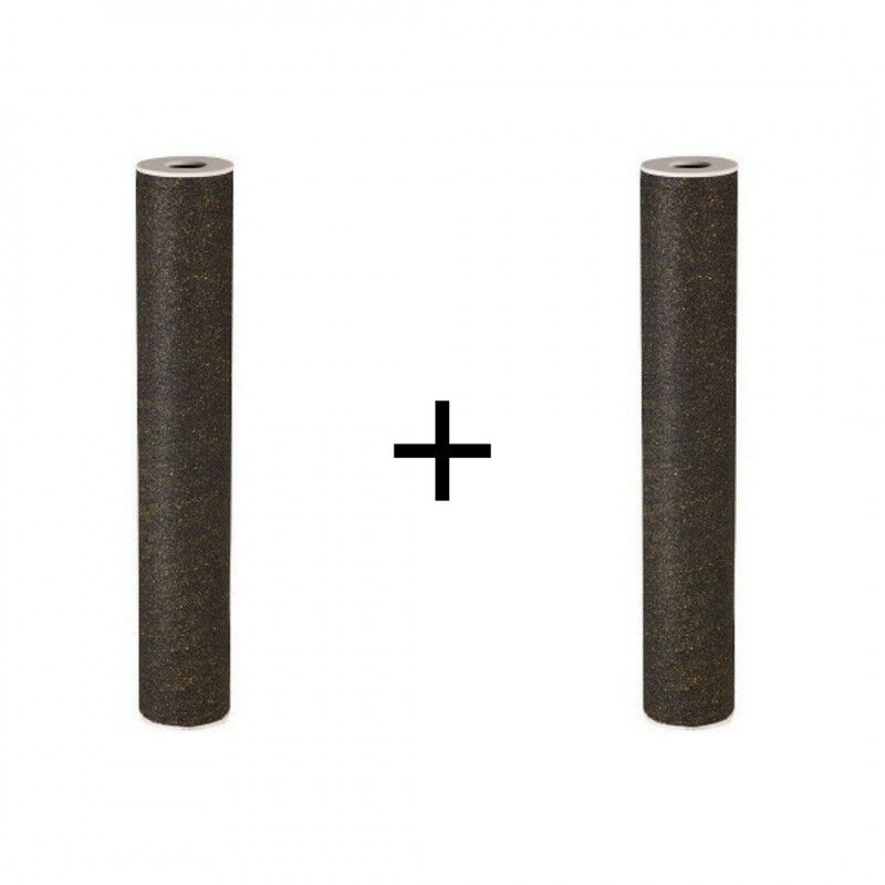 Orion - Lot de 2 filtres pour centrale proteo 2