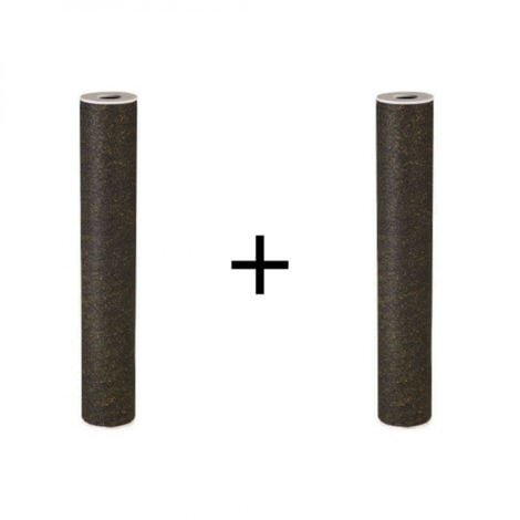 Lot de 2 filtres pour centrale Proteo 2