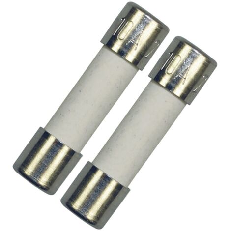 Lot de 2 fusibles électriques 10A 5x20mm d'origine