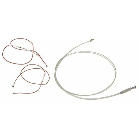 Lot de 2 fusibles et sonde chaudière