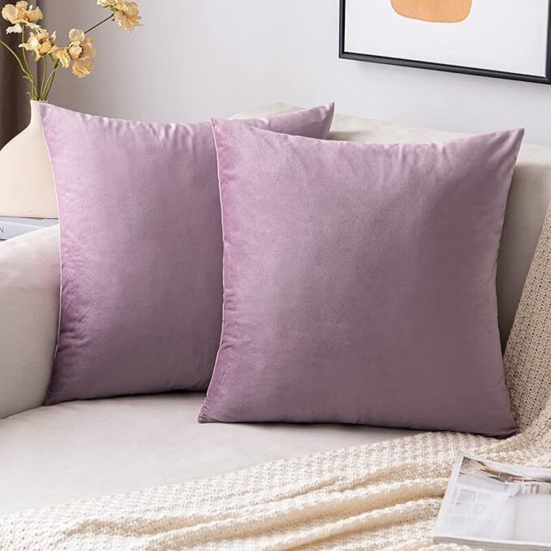 Lot de 2 housses de coussin en velours, super douces et lisses, 50x50 cm, pour canapé, salon, chambre, violet clair.