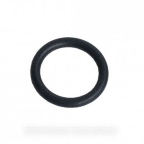 Lot de 2 joints de bouchon pour Centrale Vapeur ASTORIA 500583327