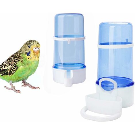 Mangeoire à oiseaux en acrylique transparent alimentant le bol