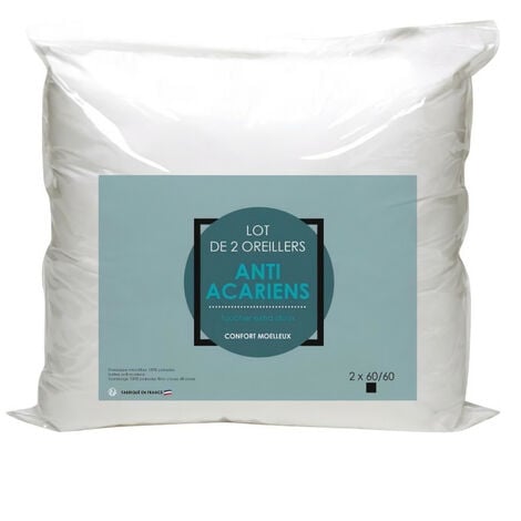 Taie d'oreiller [Lot de 2] Taies d'Oreillers Microfibre Doux Confortable  Peu Salissant