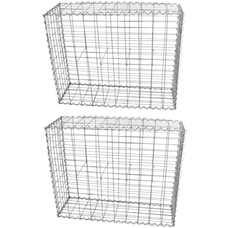 Monster-shop - Lot de 2 Paniers de Gabions Argentés en Acier Galvanisé pour Projets d'Aménagement Extérieur, Murs de Soutènement, Clôture de Jardin.
