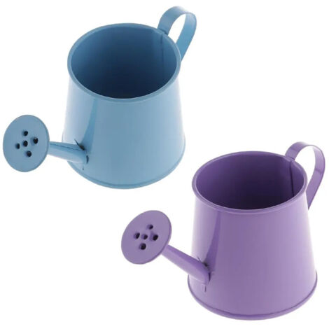 Lot de 2 petits arrosoirs arrosoir dintrieur