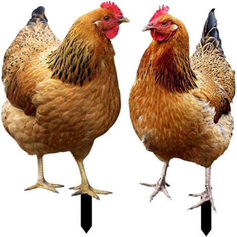 BAZYWTYH Lot de 2 piquets de jardin en forme de poule-Décoration en acrylique-Pour jardin,pelouse