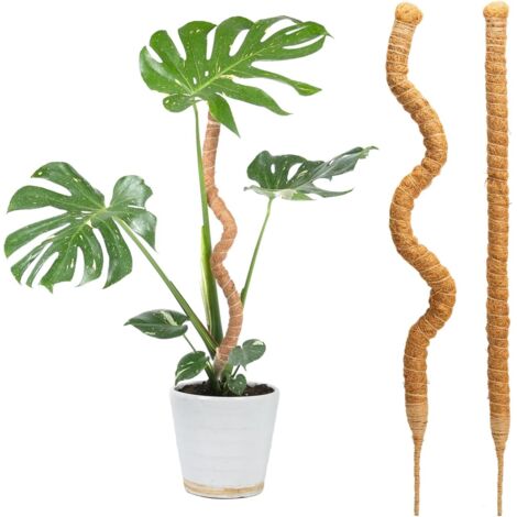 Lot de 2 piquets en mousse de 69,8 cm pour support de plantes Monstera en fibre de coco pour petites plantes grimpantes en pot à pousser vers le haut