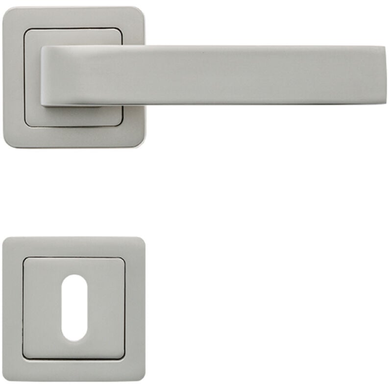 Lot de 2 poignées CANELA nickel mat + 2 rosaces clé nickel mat - AYR