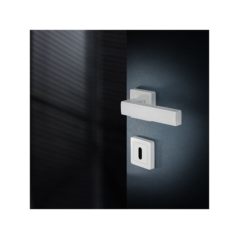 AYR - Lot de 2 poignées chai blanc mat+ 2 rosaces clé blanc mat