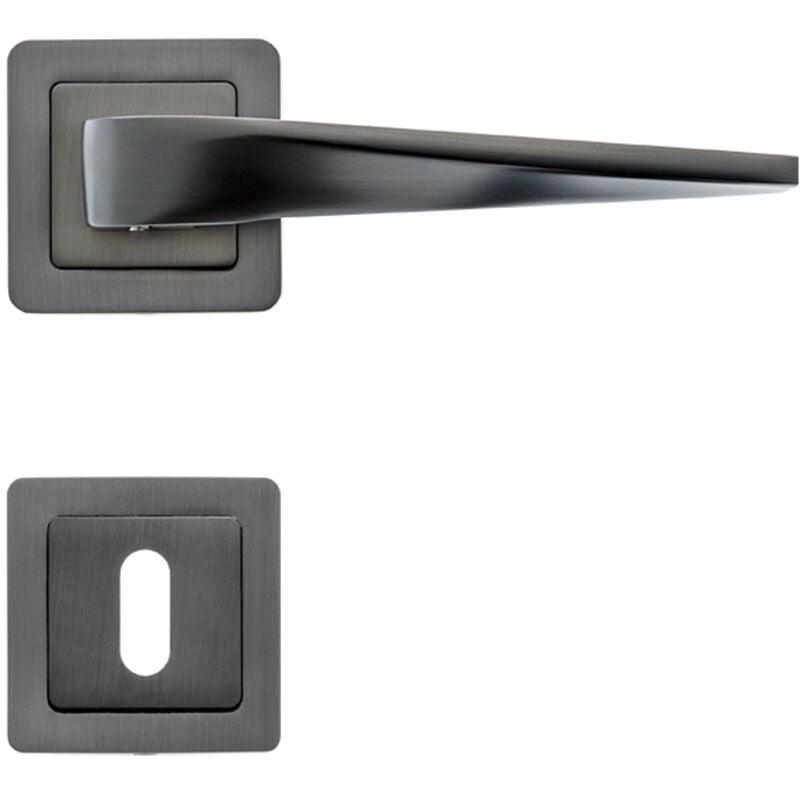 Lot de 2 poignées maxim graphite mat + 2 rosaces clé graphite mat AYR