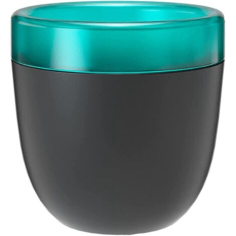 Lot de 2 pots de fleurs en plastique à arrosage automatique pour cactus, bonsaïs et plantes grasses, noirs