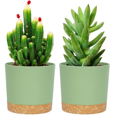 Lot de 2 pots de plantes 16.5cm, pots pour plantes d'intérieur avec trous de drainage et base amovible, soucoupe décorative moderne pour jardinières d'extérieur (vert 16.5cm)