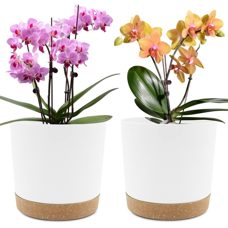 Lot de 2 Pots de Plantes 20.3cm, Pots pour Plantes d'intérieur avec Trous de Drainage et Base Amovible, Soucoupe décorative Moderne pour jardinières