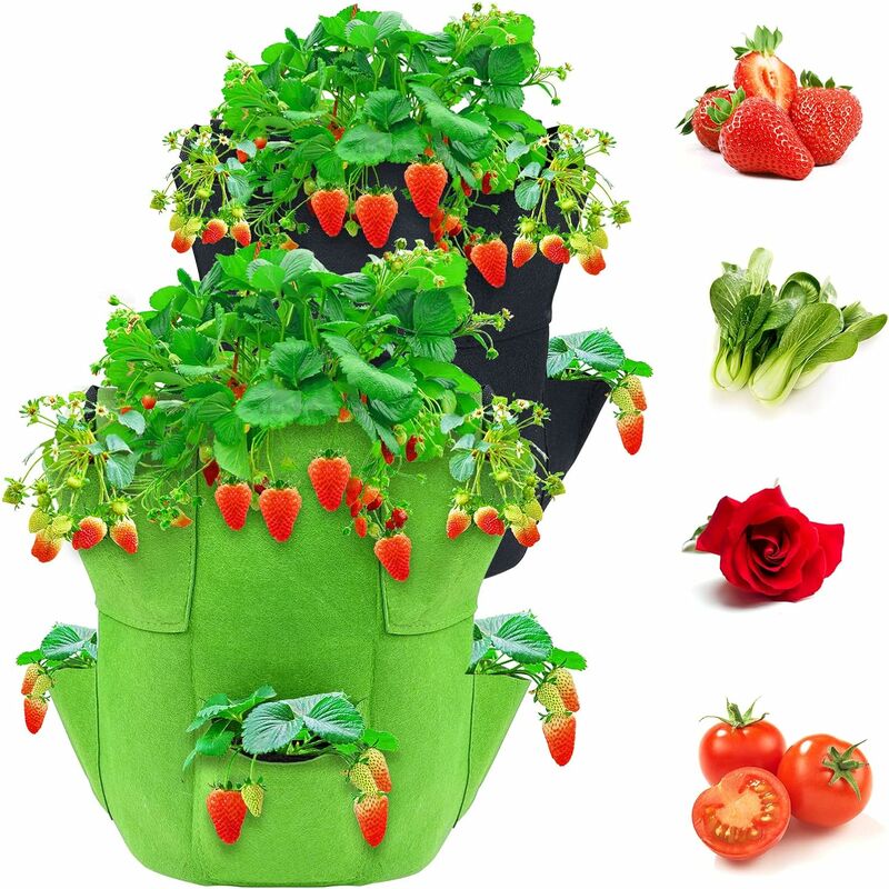 Fortuneville - Lot de 2 sacs de culture de fraises de 10 gallons non tissés avec 8 poches latérales pour fraises, légumes, fleurs, plantes à racines